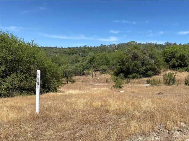 $165,000 | -38.31 Ac Flying O Ranch Road, Coarsegold, CA 93614