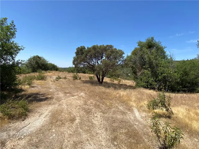 $165,000 | -38.31 Ac Flying O Ranch Road, Coarsegold, CA 93614