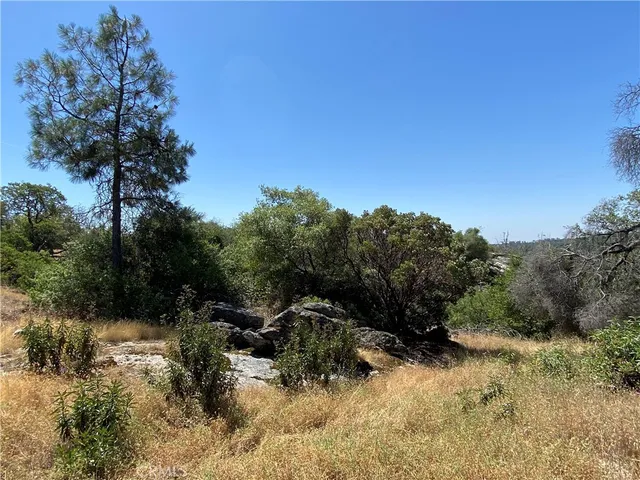 $165,000 | -38.31 Ac Flying O Ranch Road, Coarsegold, CA 93614
