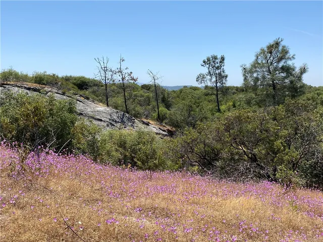 $165,000 | -38.31 Ac Flying O Ranch Road, Coarsegold, CA 93614