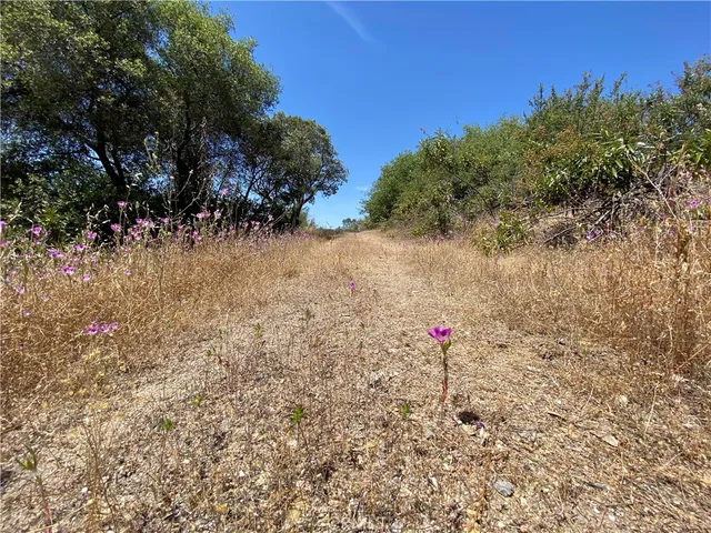 $165,000 | -38.31 Ac Flying O Ranch Road, Coarsegold, CA 93614