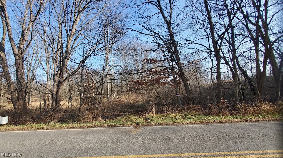 V/l Rootstown Road Rootstown, OH 44272 - Photo 2 of 7
