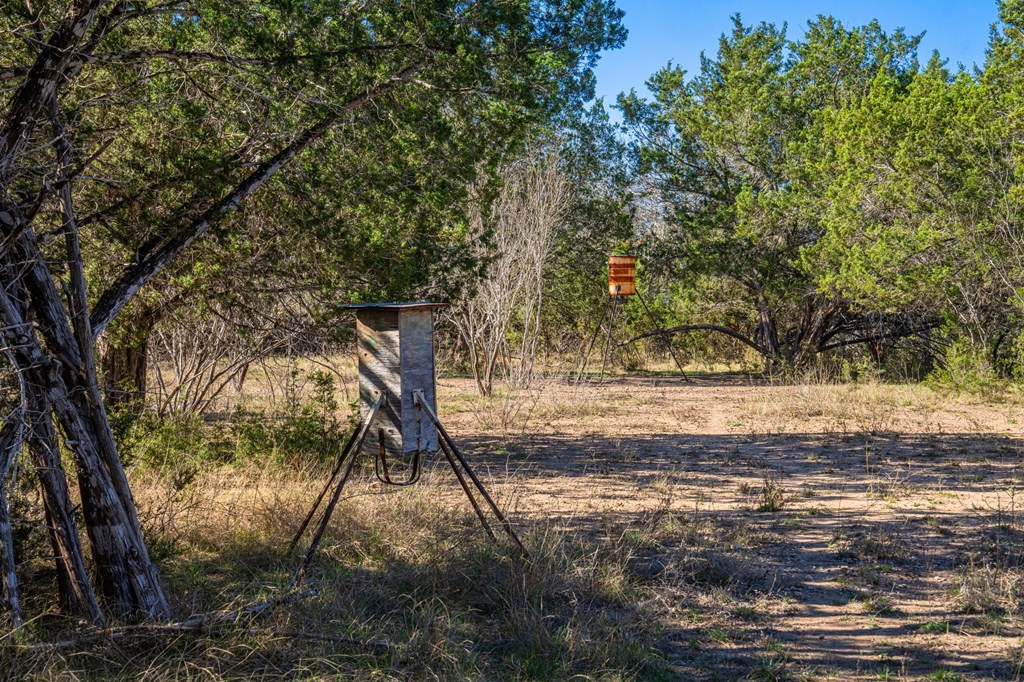 135 Rooster Ridge Kerrville, TX 78028 - Photo 22 of 27 a backyard of a house with lots of green space