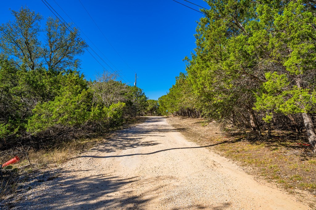 135 Rooster Ridge Kerrville, TX 78028 - Photo 27 of 27 a view of a yard