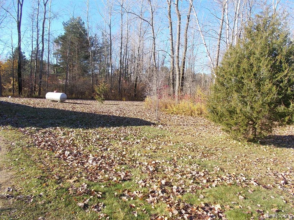 2860 Wells Road Caro, MI 48723 - Photo 18 of 18