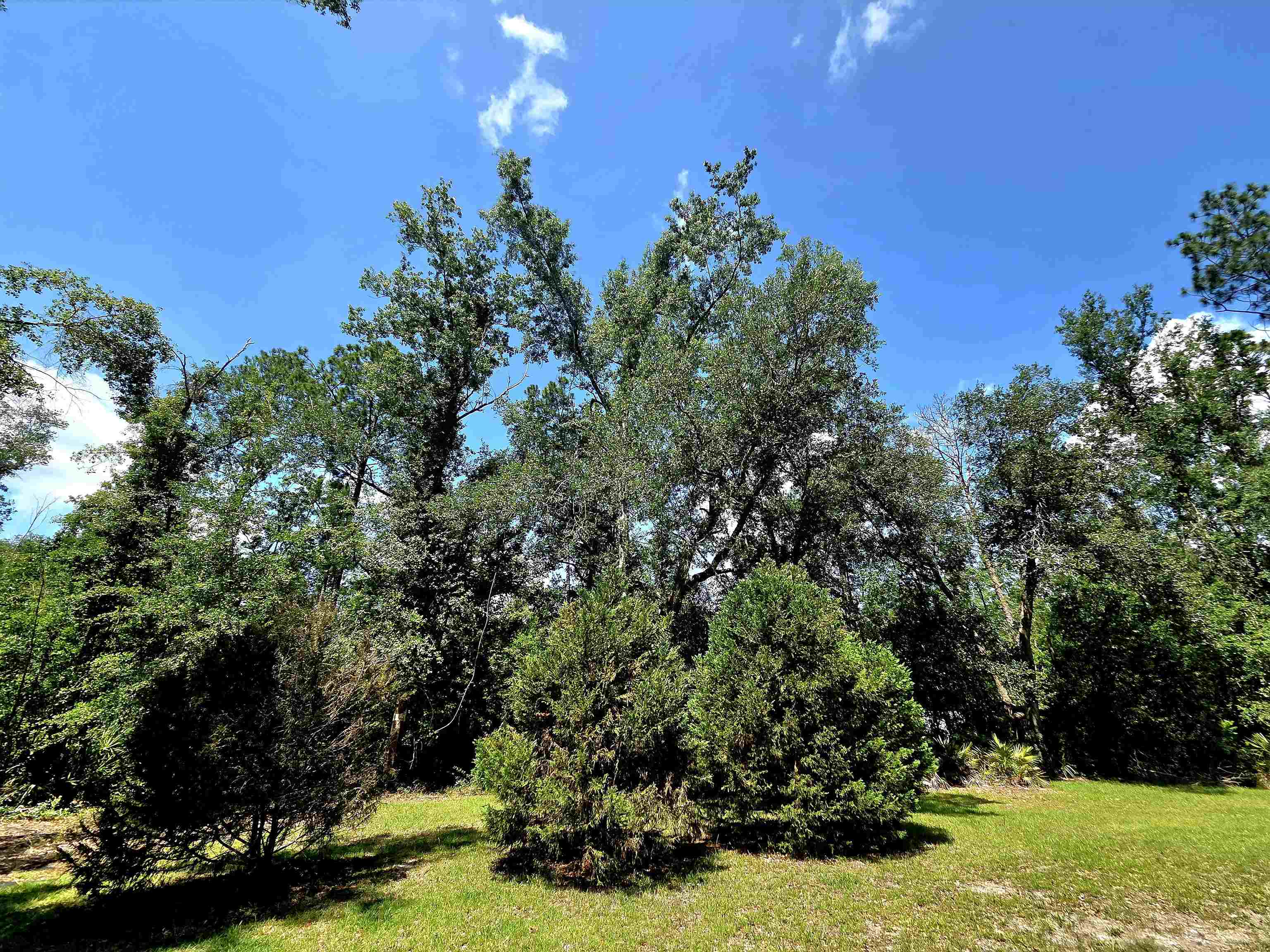 3445 Arrowhead Lane Perry, FL 32347 - Photo 37 of 48
