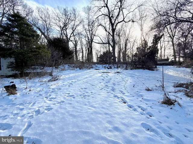 a backyard of a house with large trees
