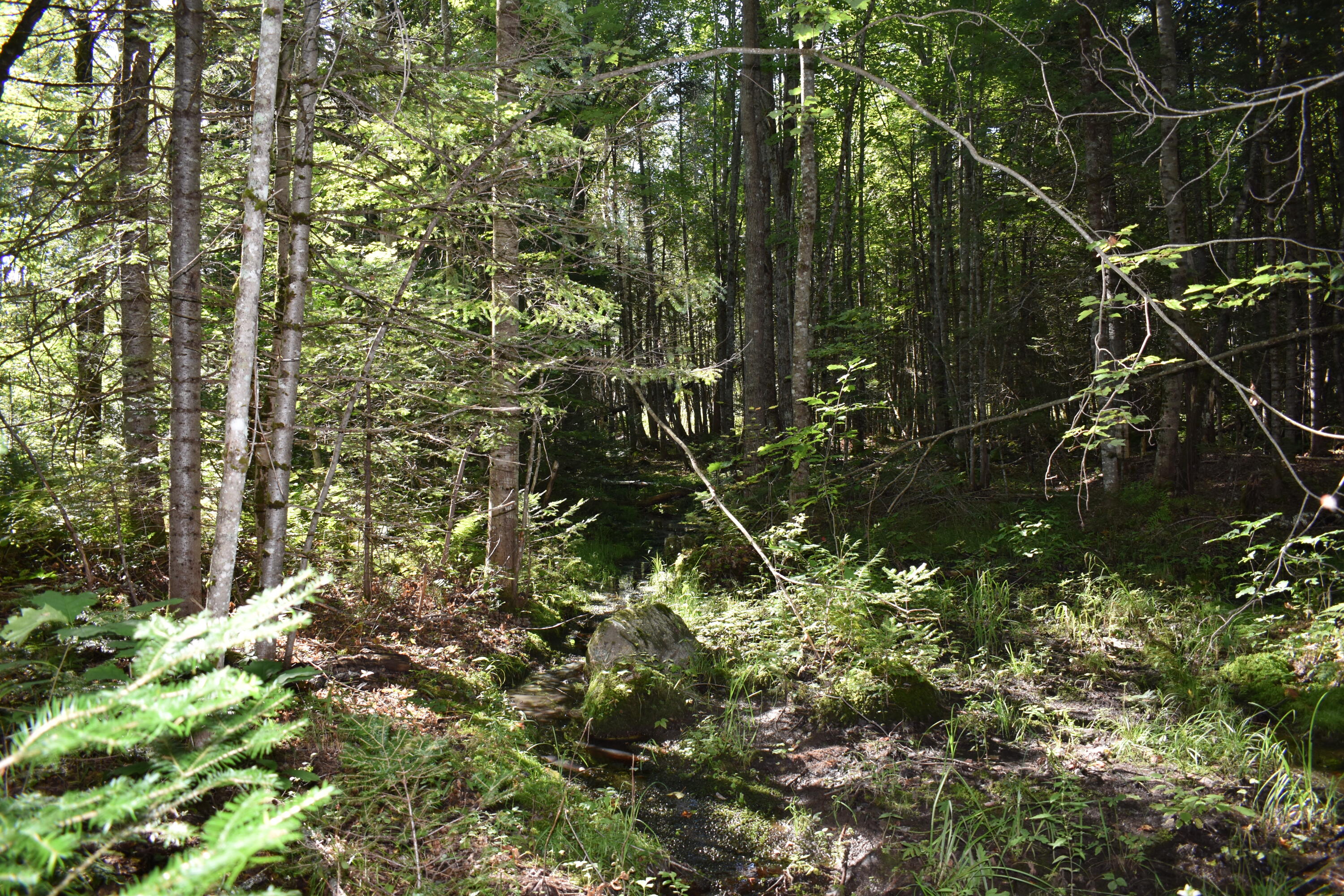 2 Edinburg Road Howland, ME 04448 - Photo 3 of 16 DSC_0234