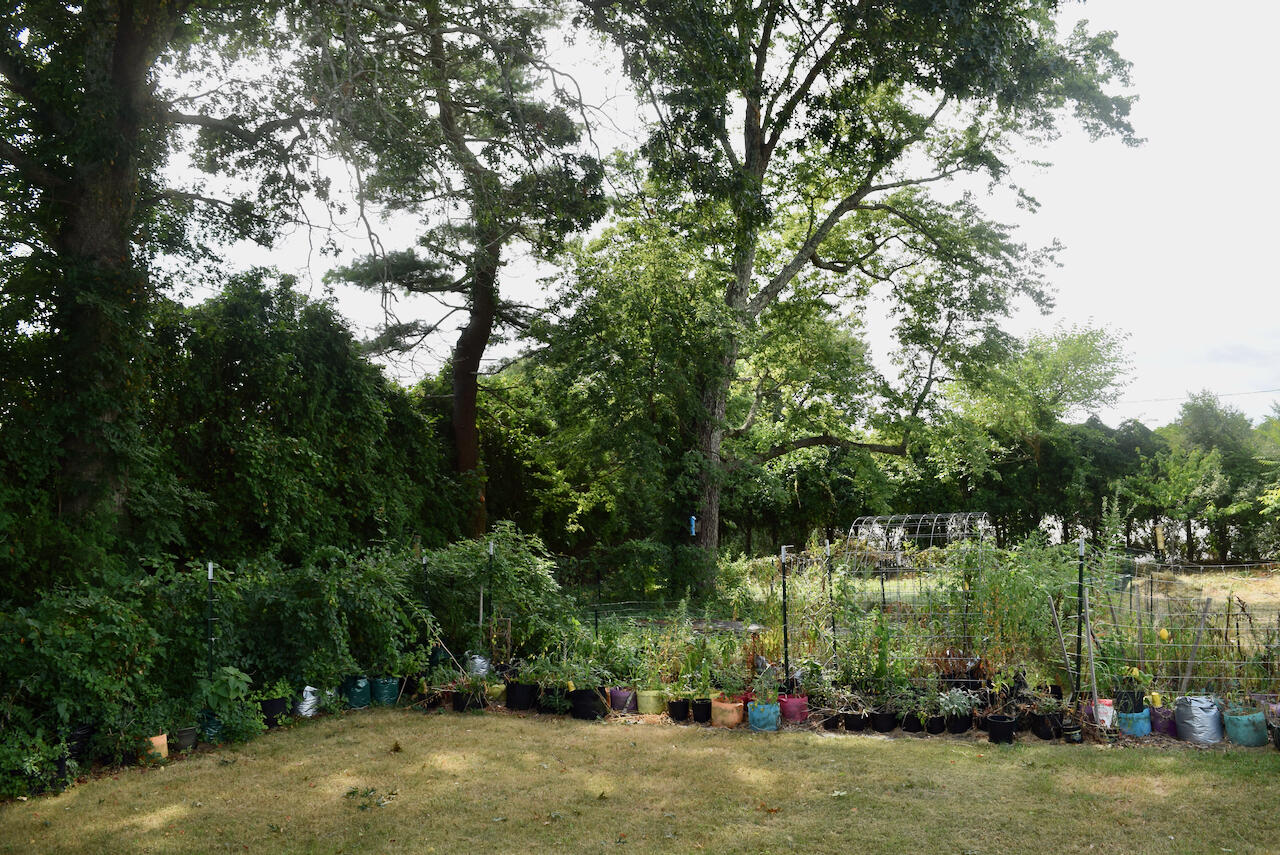 99 South Main Street Acushnet, MA 02743 - Photo 3 of 46 a view of a park with large trees