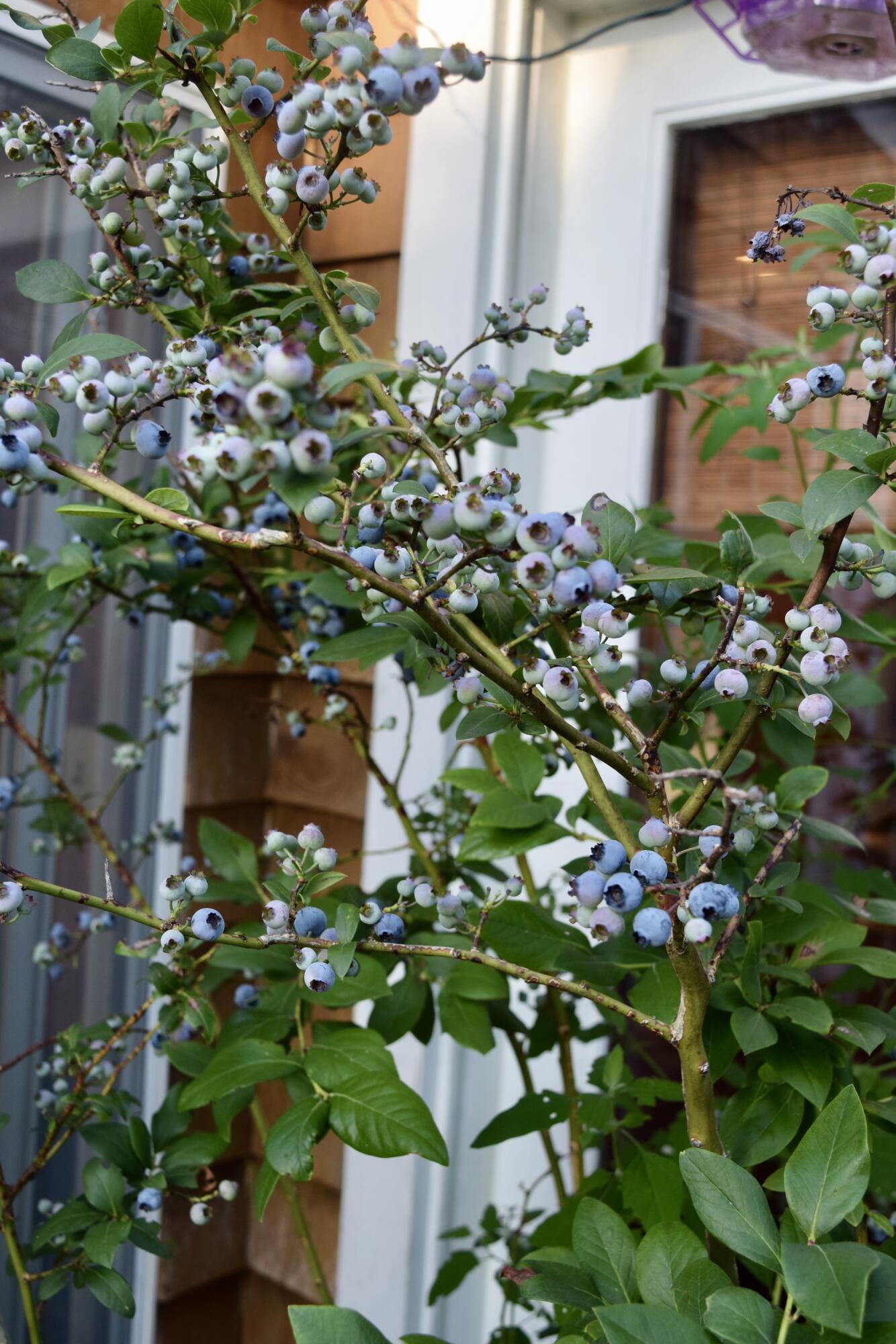 99 South Main Street Acushnet, MA 02743 - Photo 44 of 46