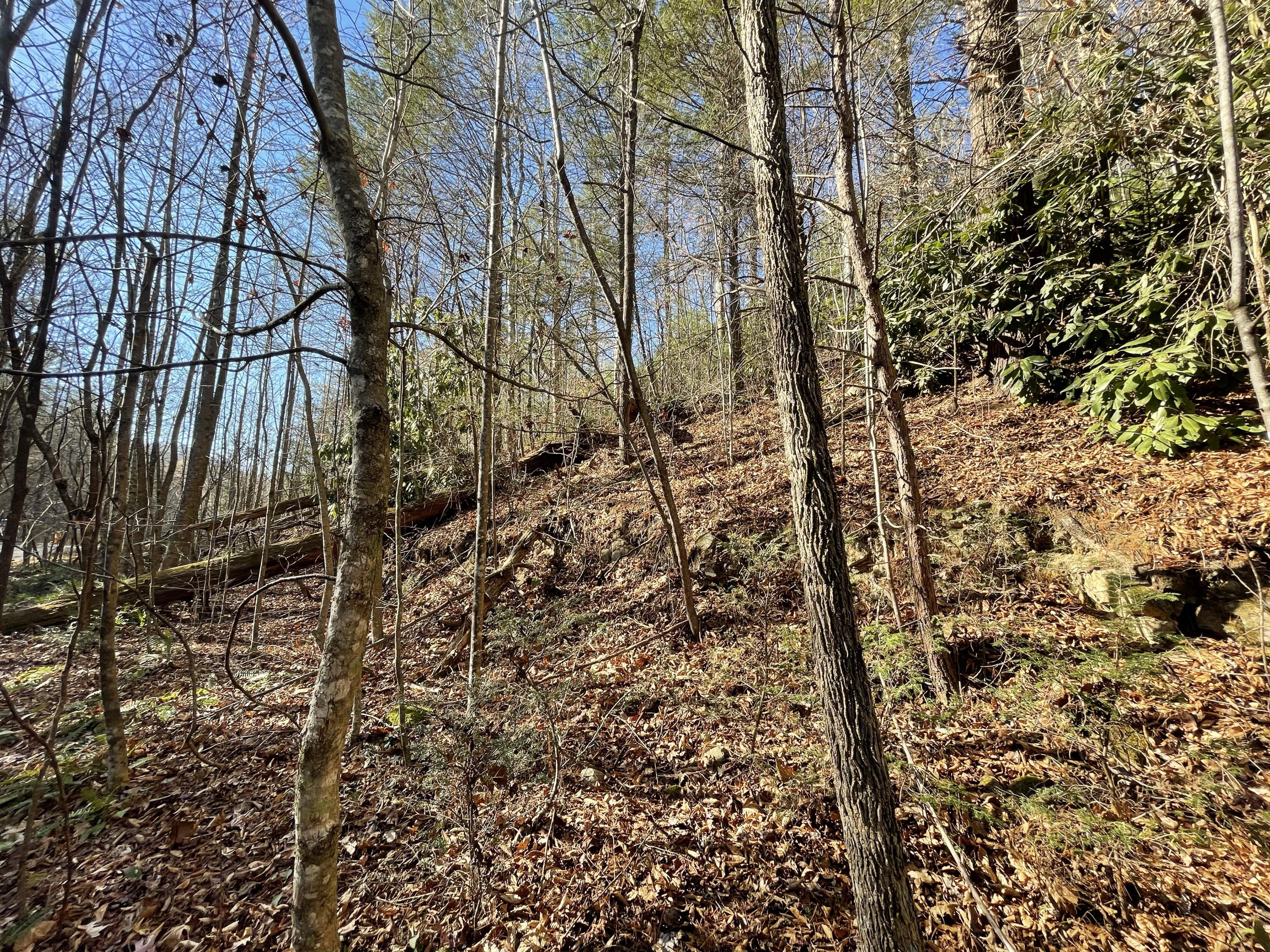 0 Rabbit Hill Road Hartford, TN 37753 - Photo 1 of 1 6