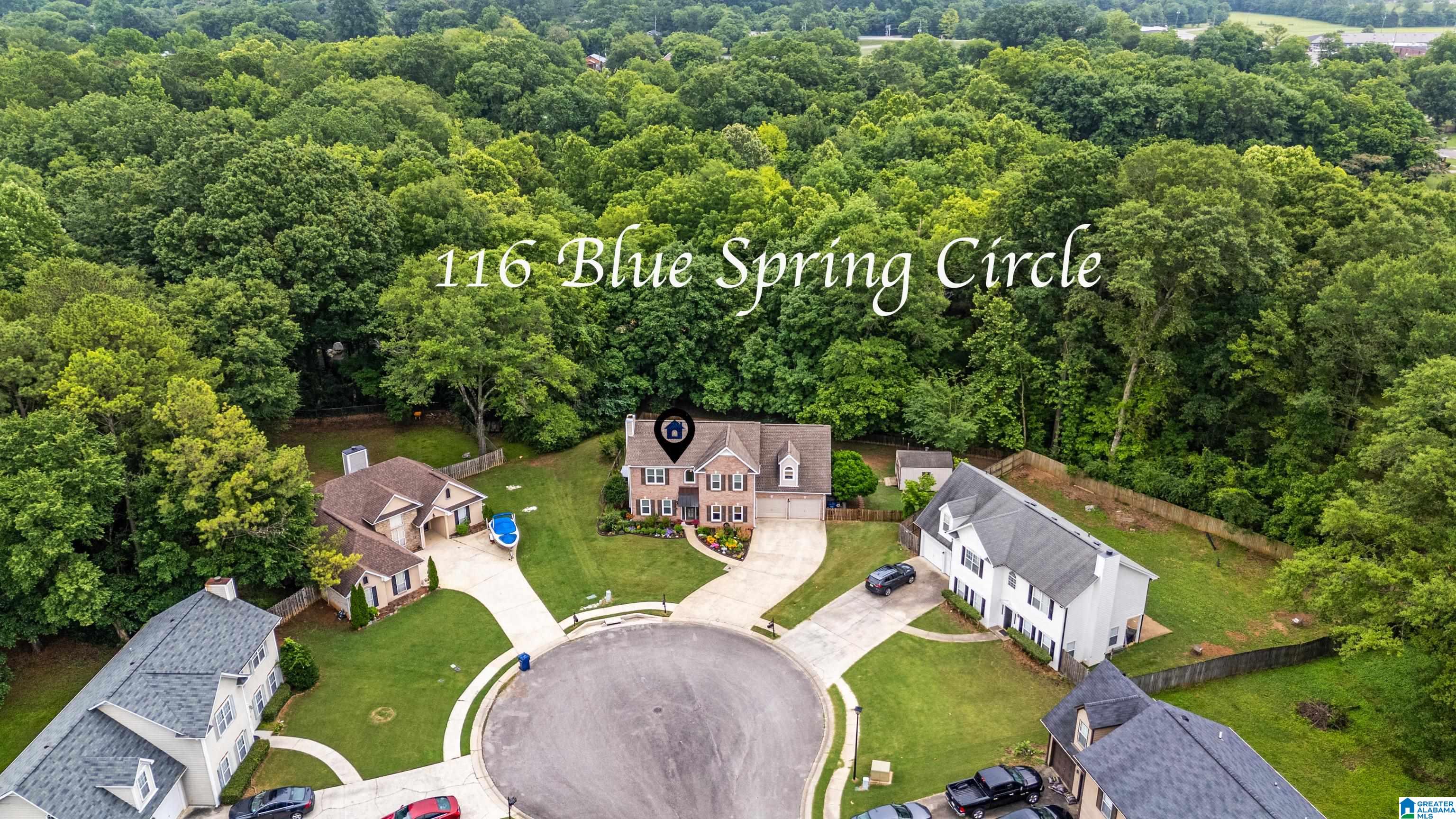 116 Blue Spring Circle Alabaster, AL 35007 - Photo 41 of 76