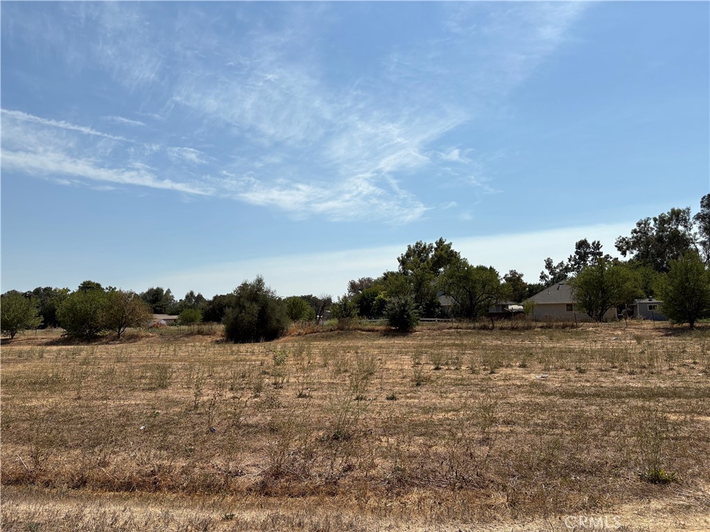 514 2nd Street Willows, CA 95988 - Photo 3 of 4 a view of a lake view
