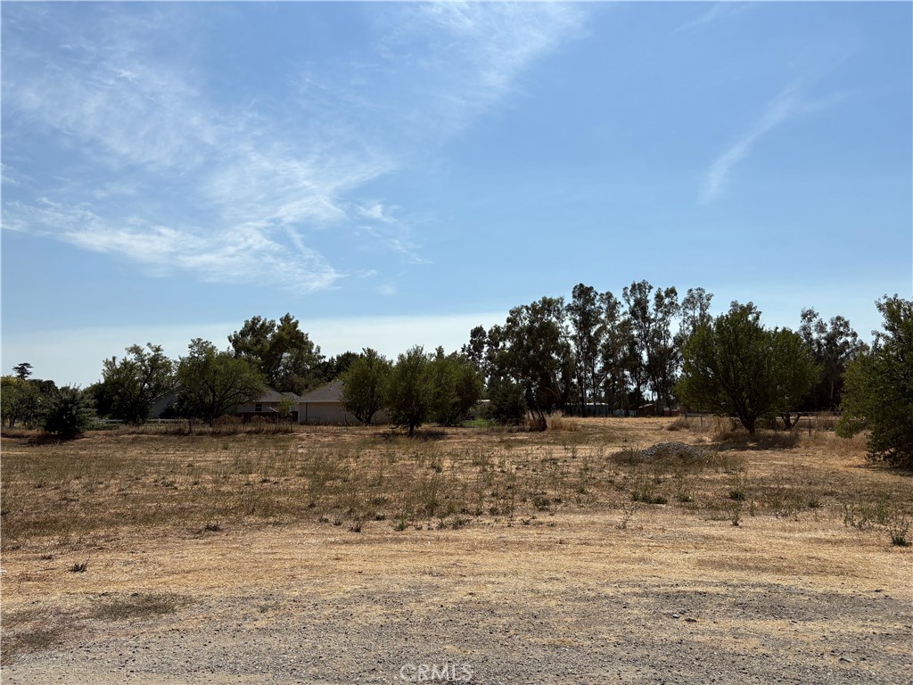 514 2nd Street Willows, CA 95988 - Photo 4 of 4 a view of a lake view