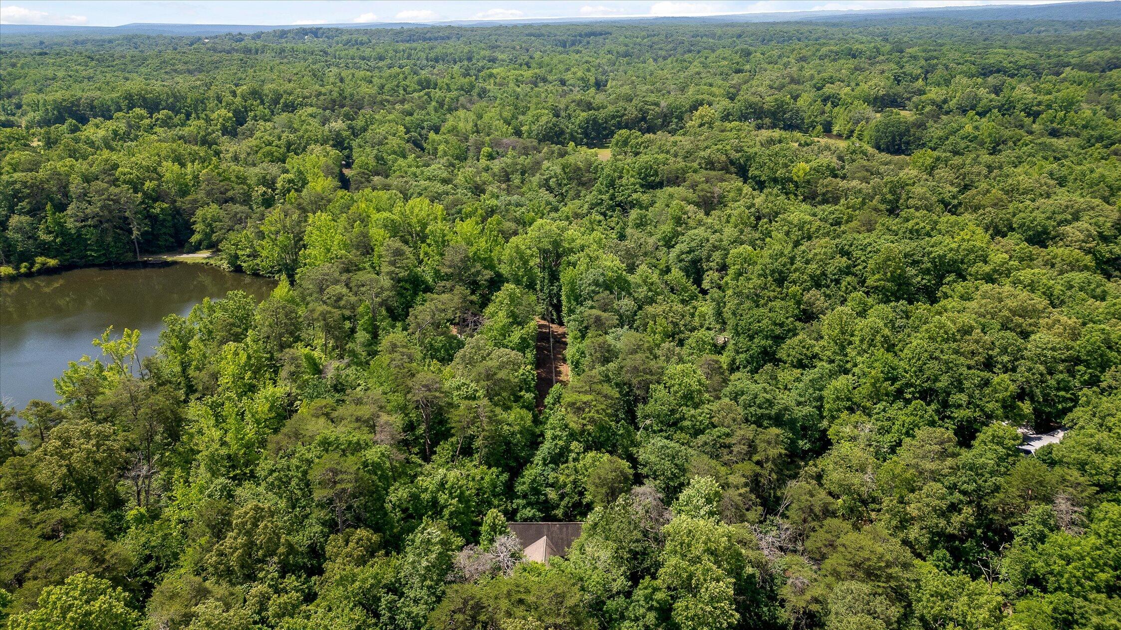 390 Moon Lake Road Mentone, AL 35984 - Photo 56 of 60 03-Moon Lake-2