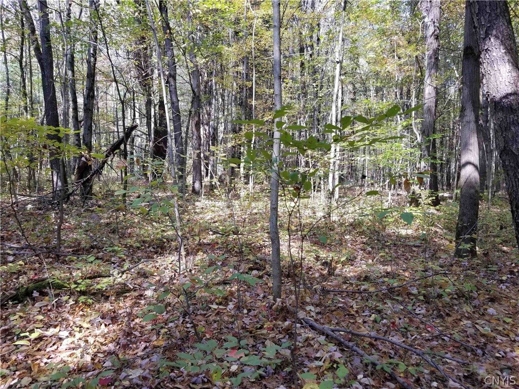 0 Etna Road Ithaca, NY 14850 - Photo 11 of 17