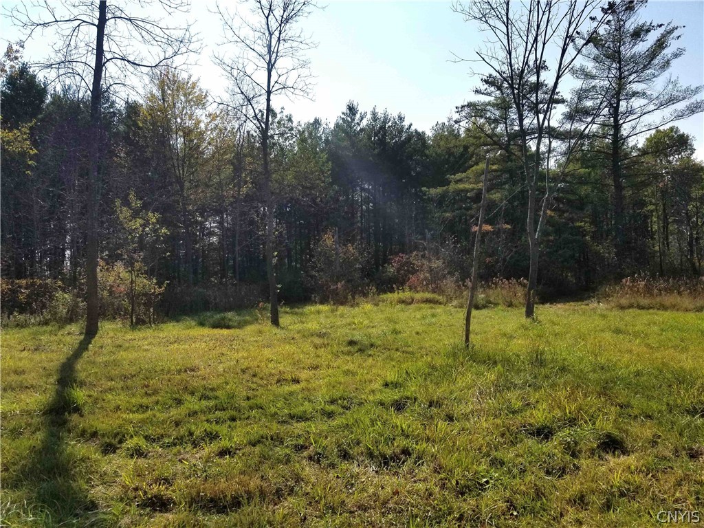 0 Etna Road Ithaca, NY 14850 - Photo 13 of 17