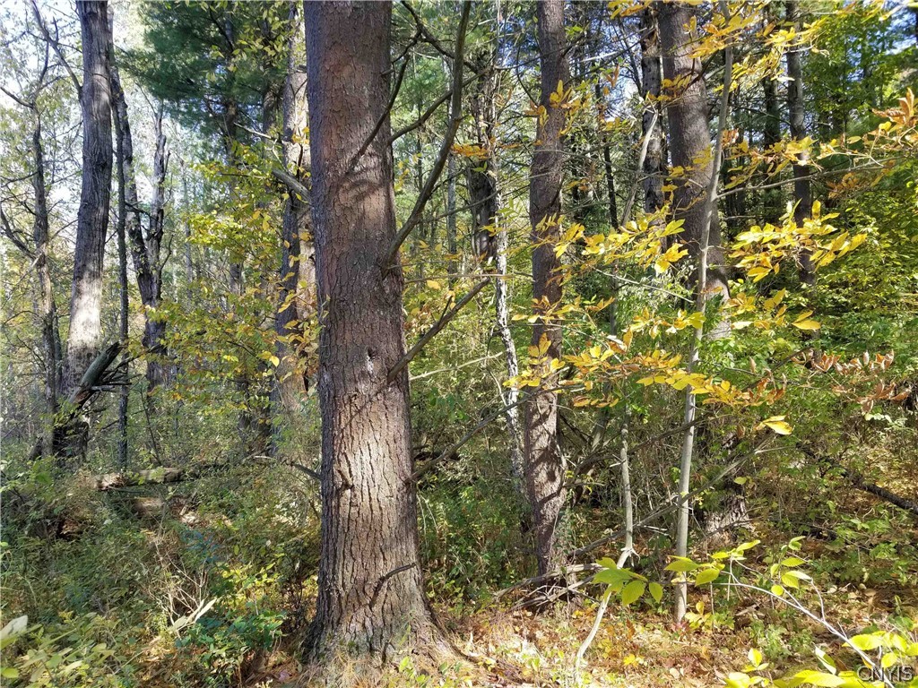 0 Etna Road Ithaca, NY 14850 - Photo 14 of 17