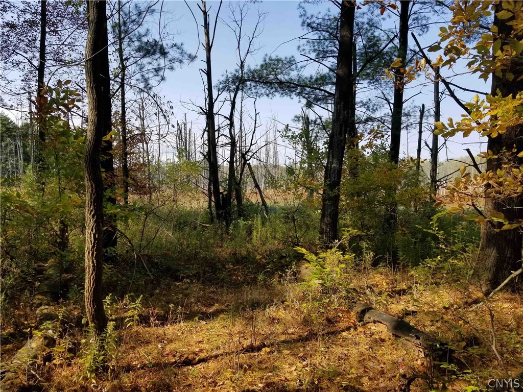 0 Etna Road Ithaca, NY 14850 - Photo 15 of 17