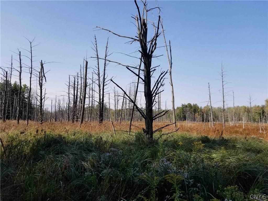 0 Etna Road Ithaca, NY 14850 - Photo 16 of 17