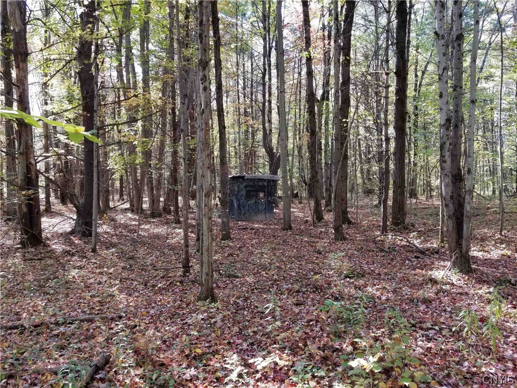 0 Etna Road Ithaca, NY 14850 - Photo 2 of 17