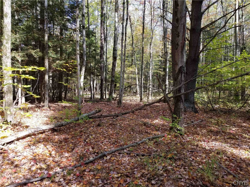 0 Etna Road Ithaca, NY 14850 - Photo 3 of 17