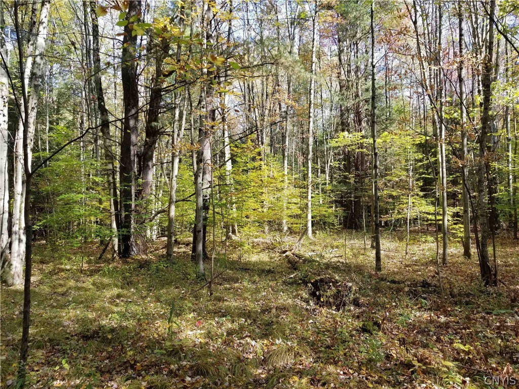 0 Etna Road Ithaca, NY 14850 - Photo 4 of 17