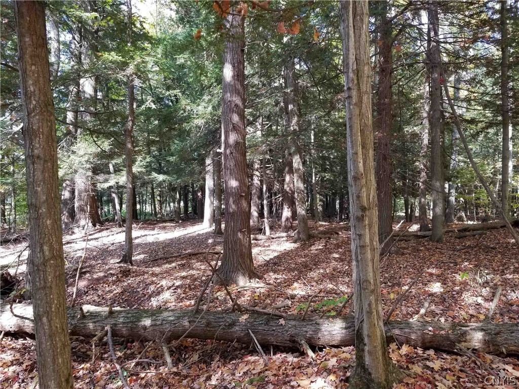 0 Etna Road Ithaca, NY 14850 - Photo 5 of 17