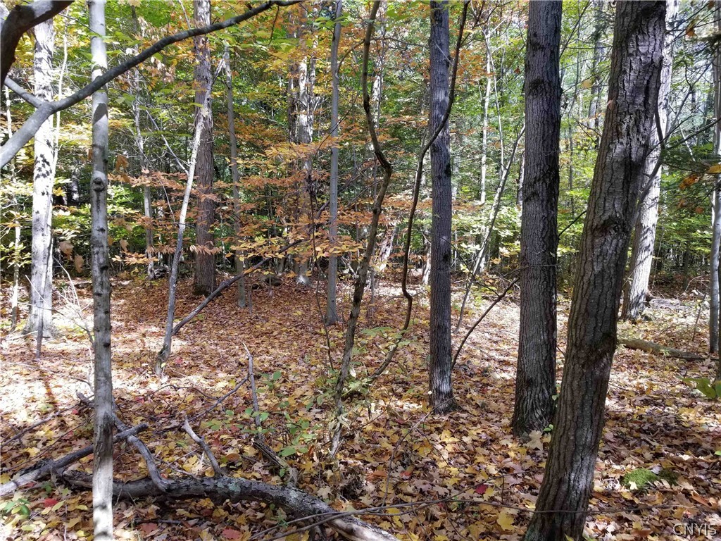 0 Etna Road Ithaca, NY 14850 - Photo 6 of 17