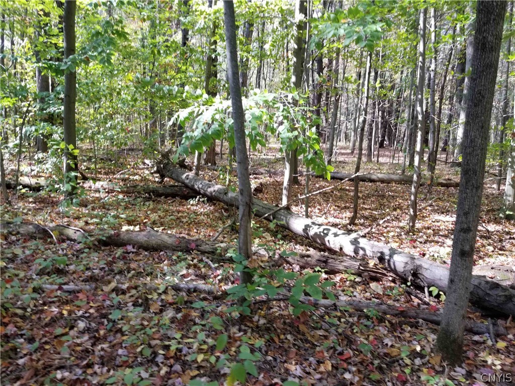 0 Etna Road Ithaca, NY 14850 - Photo 7 of 17