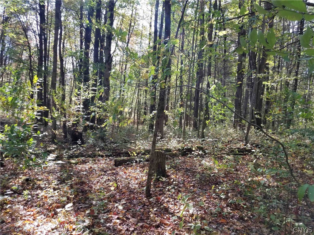 0 Etna Road Ithaca, NY 14850 - Photo 8 of 17