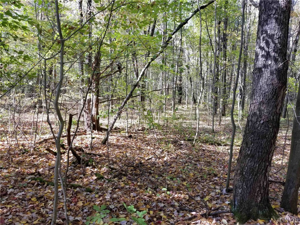 0 Etna Road Ithaca, NY 14850 - Photo 9 of 17