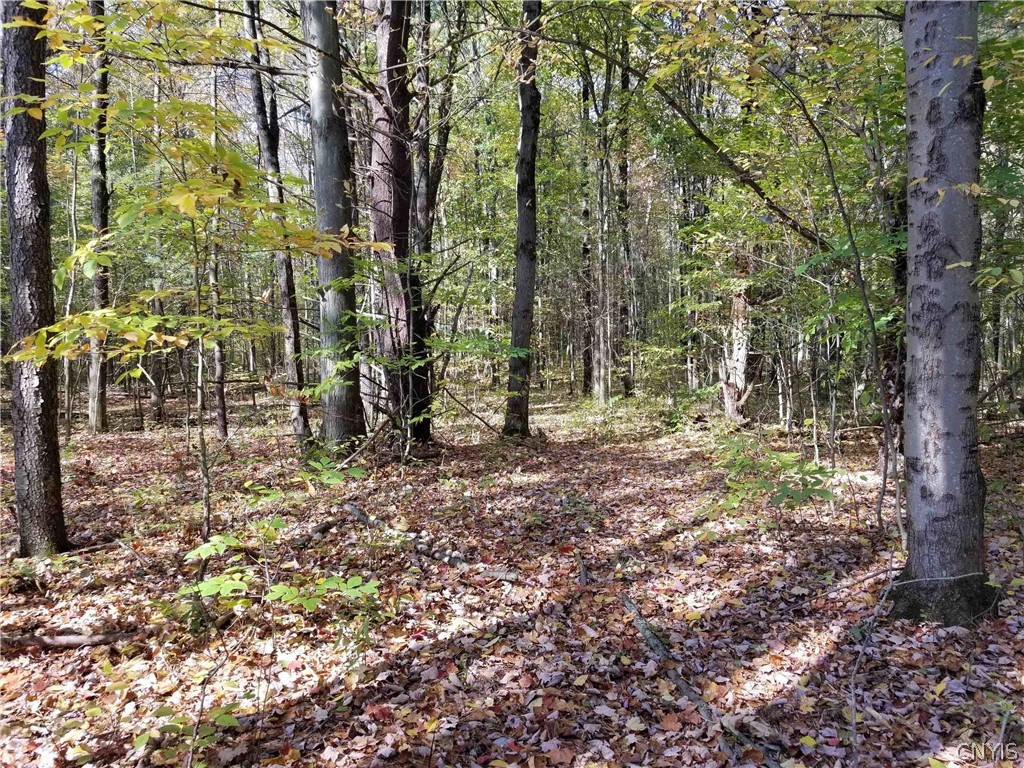 0 Etna Road Ithaca, NY 14850 - Photo 10 of 17