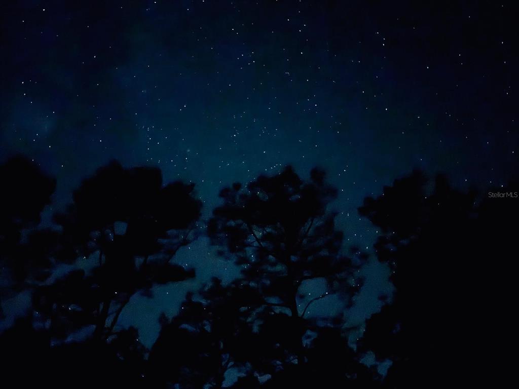 127 Longtree Street Georgetown, FL 32139 - Photo 11 of 11