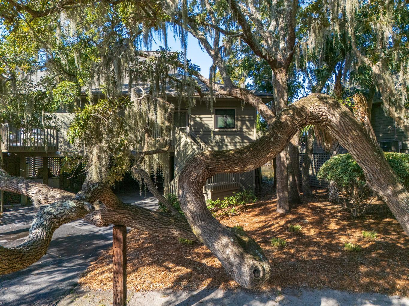796 Summerwind Circle Edisto Island, SC 29438 - Photo 32 of 54 796 SW