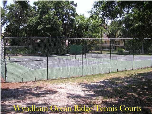 796 Summerwind Circle Edisto Island, SC 29438 - Photo 47 of 54 Ocean Ridge