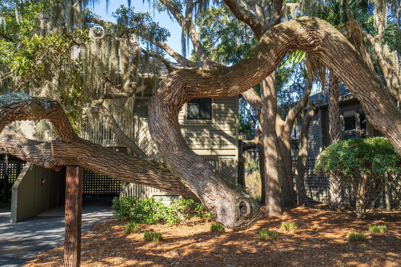 796 Summerwind Circle Edisto Island, SC 29438 - Photo 5 of 54 796 SW