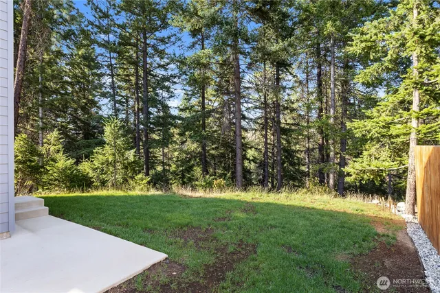 a view of a park with large trees
