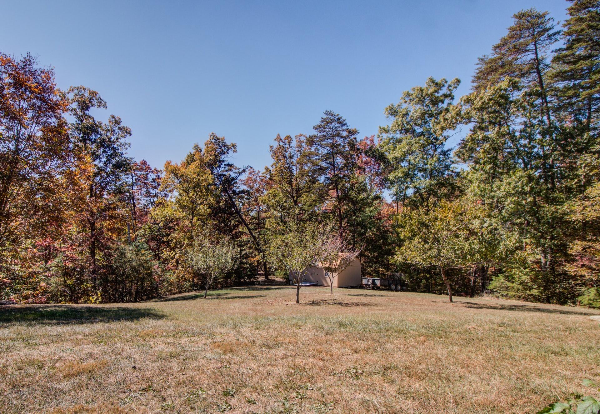 2635 New Ridge Road Elliston, VA 24087 - Photo 43 of 54 042-250981-_MG_4513_4_5_6_7_5679856