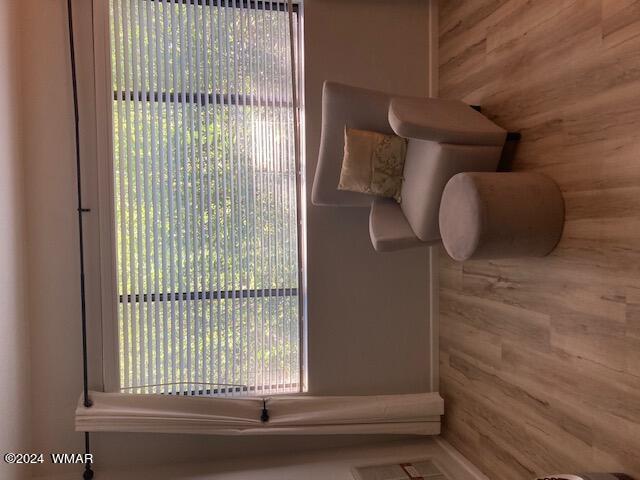 2670 Snow Slope Way Pinetop, AZ 85935 - Photo 9 of 18 a bathroom with a window