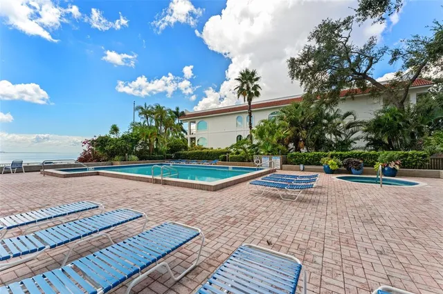 a view of a backyard with plants and palm trees