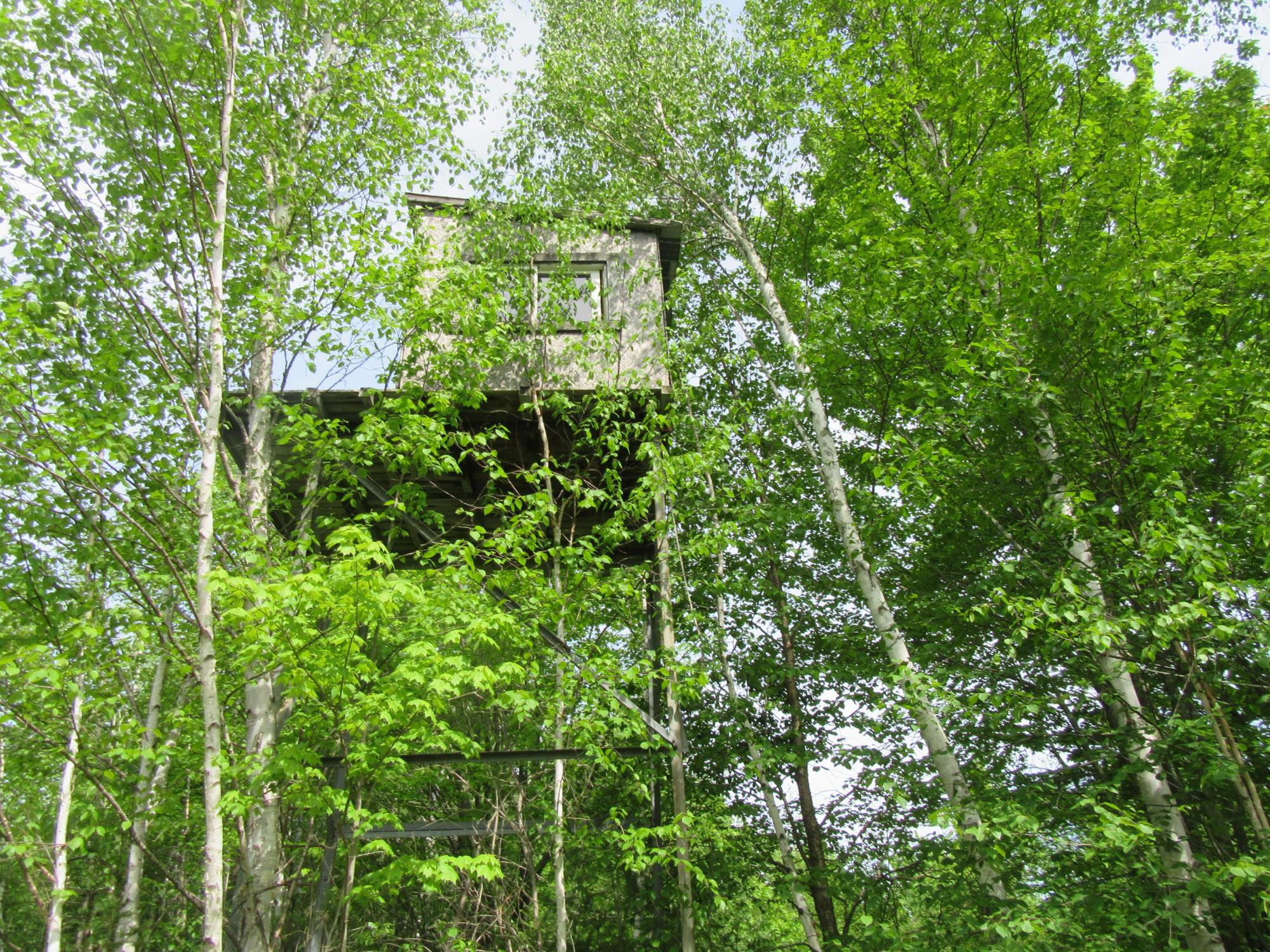 12030 Price Lakes Road Park Falls, WI 54552 - Photo 15 of 56 Gallery Image 15