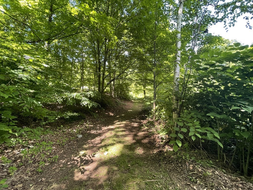 95 West Gill Road Gill, MA 01354 - Photo 37 of 40 a view of a forest