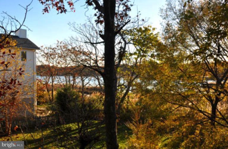 1310 Harbor Road Annapolis, MD 21403 - Photo 3 of 30 Deck - View from
