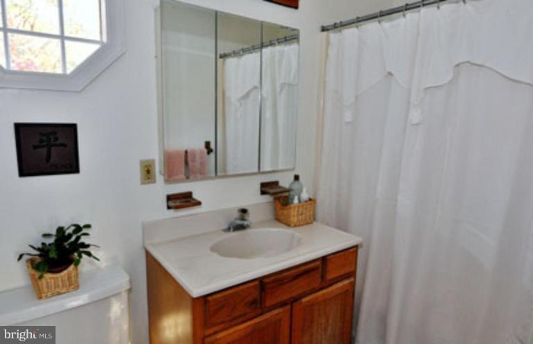 1310 Harbor Road Annapolis, MD 21403 - Photo 23 of 30 Bath #2