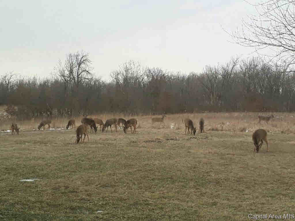 3915 Zion Road Pawnee, IL 62558 - Photo 2 of 13