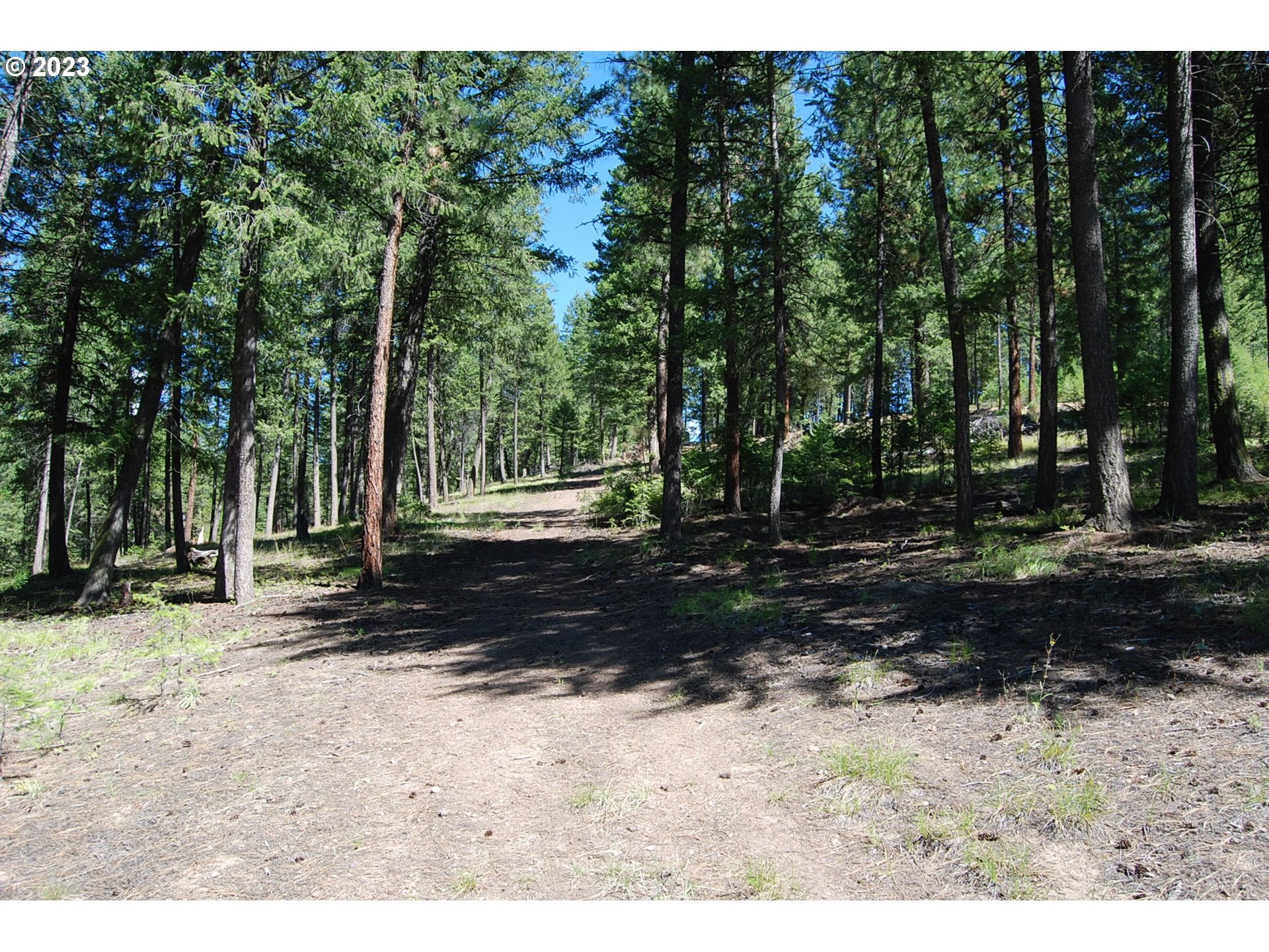 Huckleberry Loop Baker City, OR 97814 - Photo 11 of 11 a view of a backyard with trees
