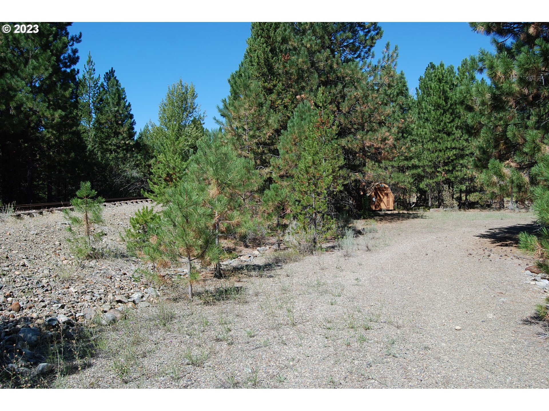 Huckleberry Loop Baker City, OR 97814 - Photo 3 of 11 a view of a dry yard with trees