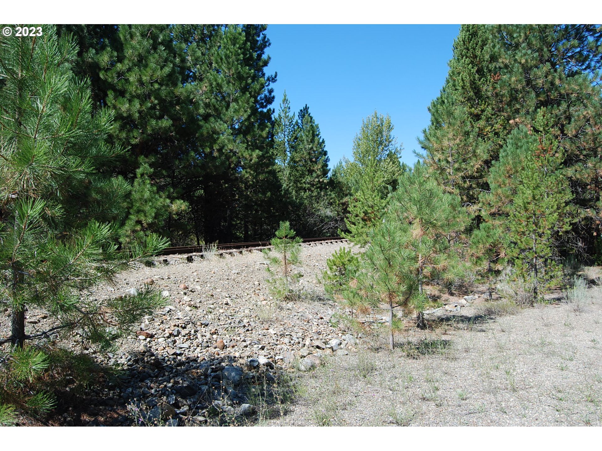 Huckleberry Loop Baker City, OR 97814 - Photo 4 of 11 a view of a yard covered with trees