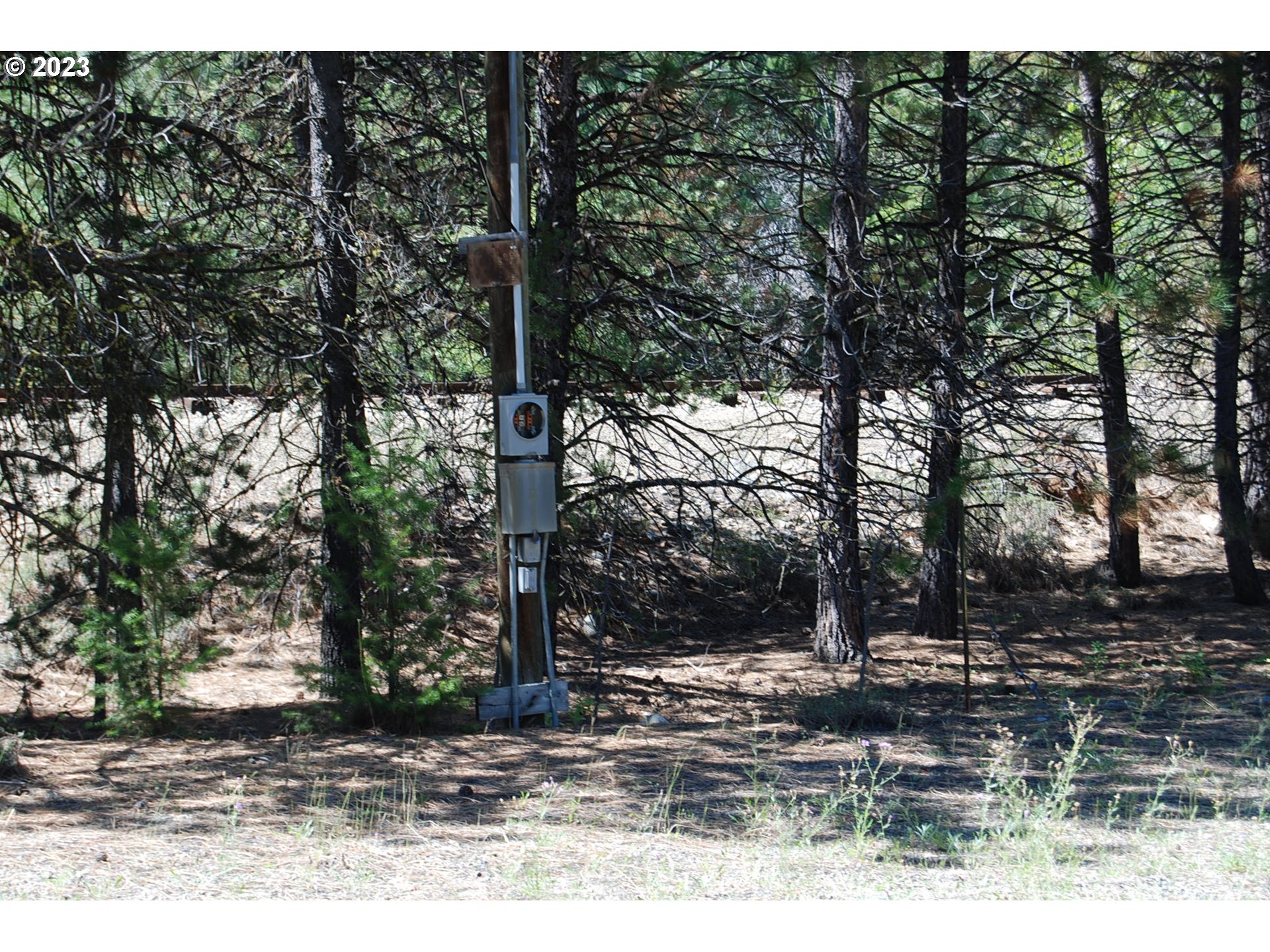 Huckleberry Loop Baker City, OR 97814 - Photo 8 of 11 a view of a backyard with trees